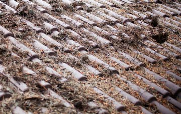 Hollands roof cleaning companies