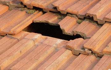 roof repair Hollands, Somerset